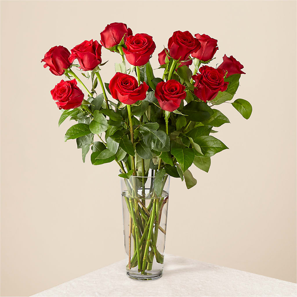 Long Stem Red Rose Bouquet – Roots Of Love, Spotswood NJ