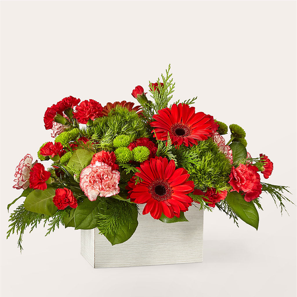 The Rudolph Bouquet – Roots Of Love, Spotswood NJ