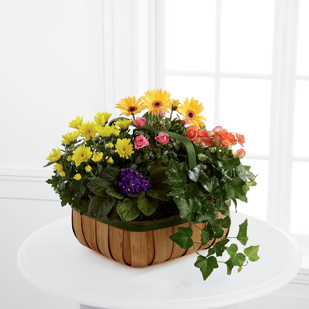 Gentle Blossoms Basket – Roots Of Love, Spotswood NJ