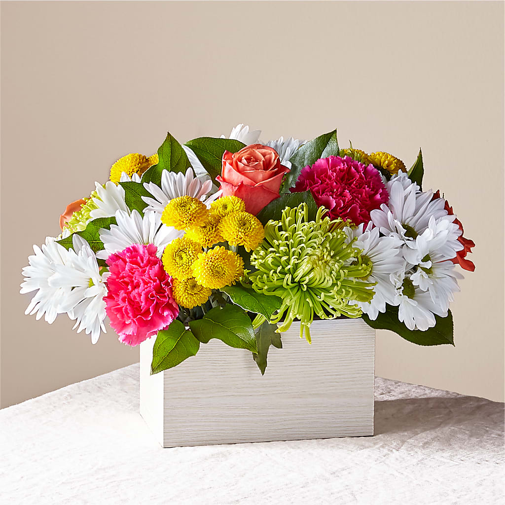Sorbet Bouquet – Roots Of Love, Spotswood NJ