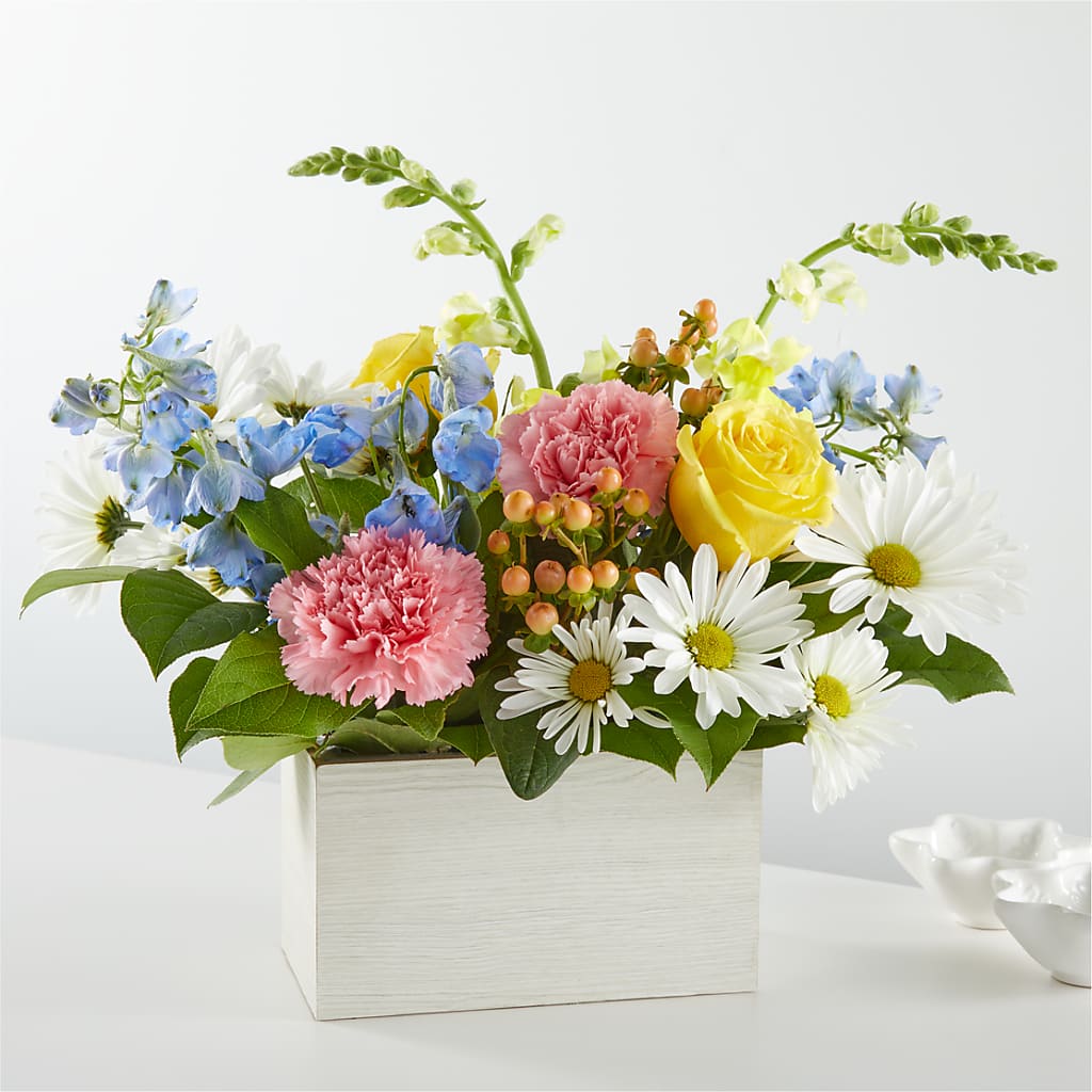 Sun Salutation Box Bouquet – Roots Of Love, Spotswood NJ