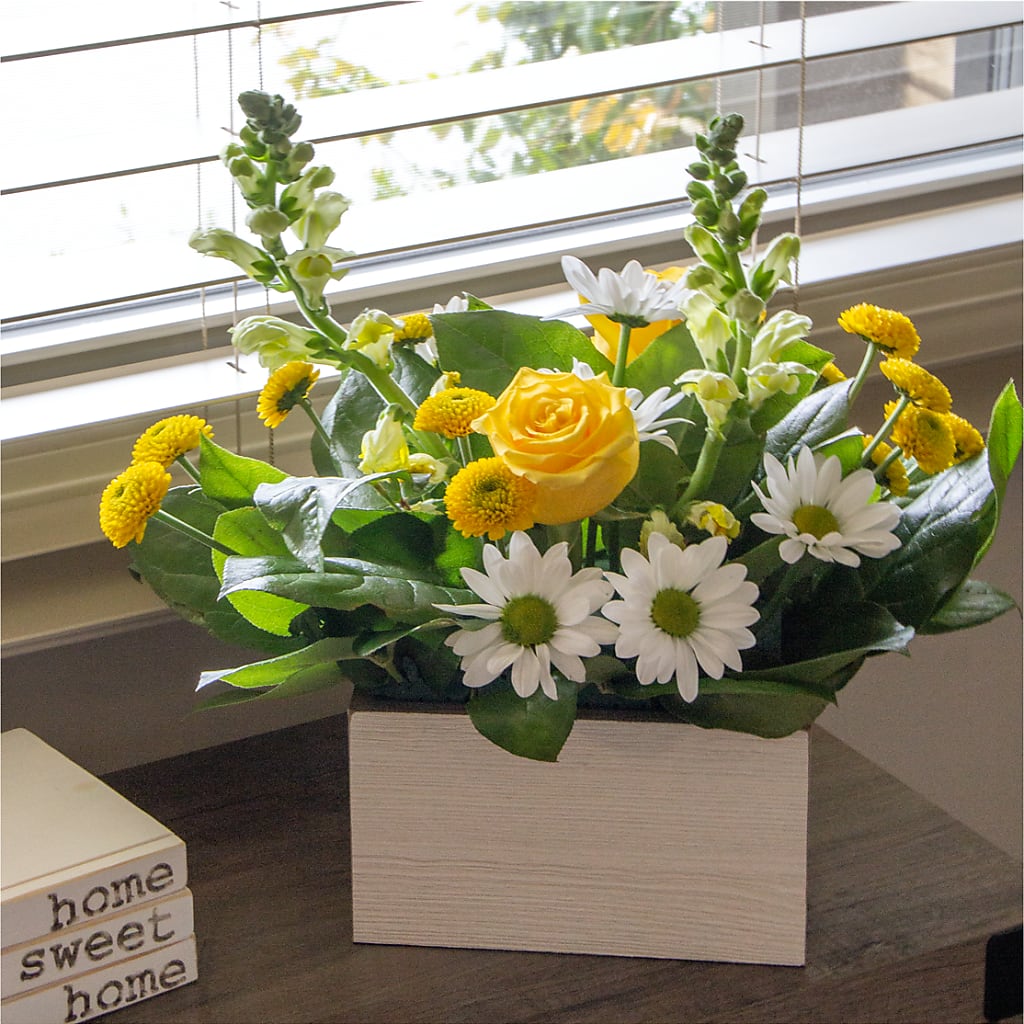 Sun Salutation Box Bouquet – Roots Of Love, Spotswood NJ