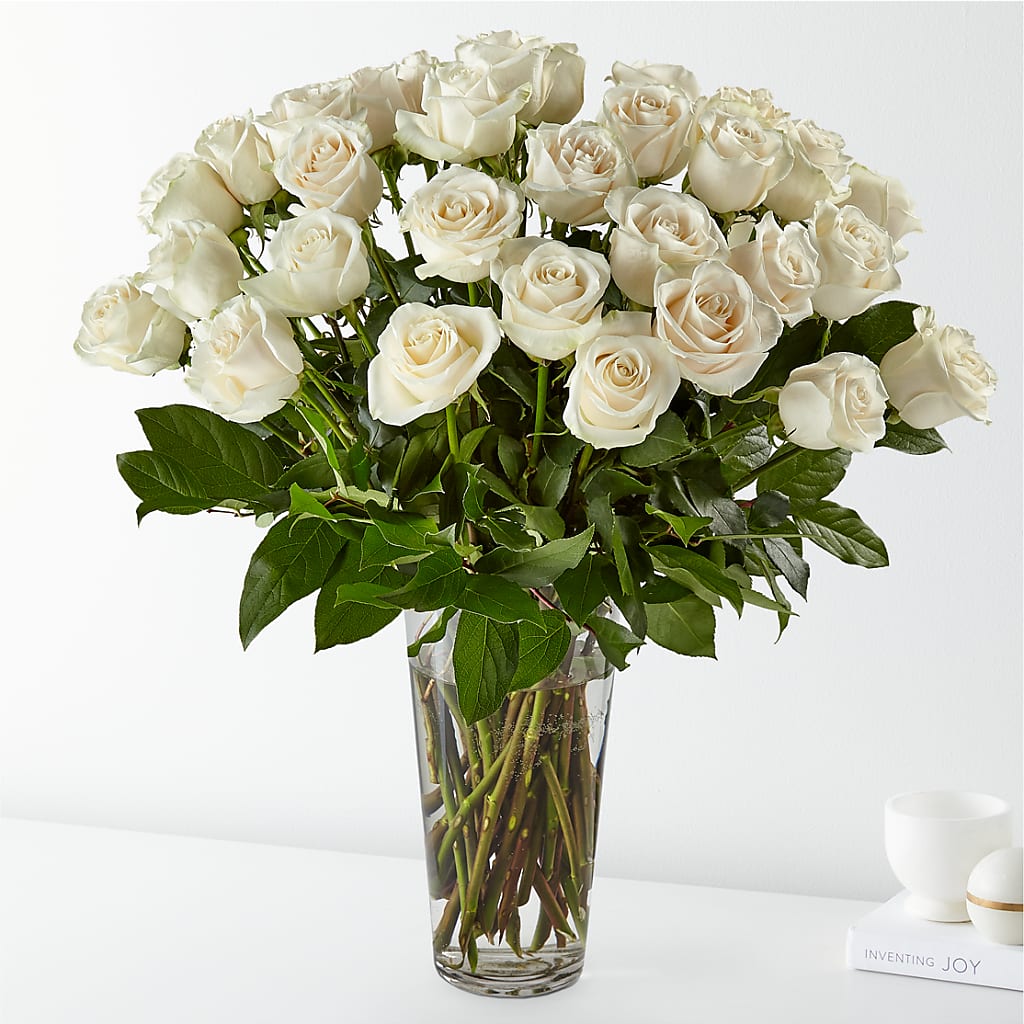Long Stem White Rose Bouquet – Roots Of Love, Spotswood NJ