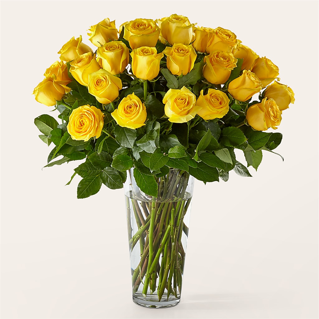 Long Stem Yellow Rose Bouquet – Roots Of Love, Spotswood NJ