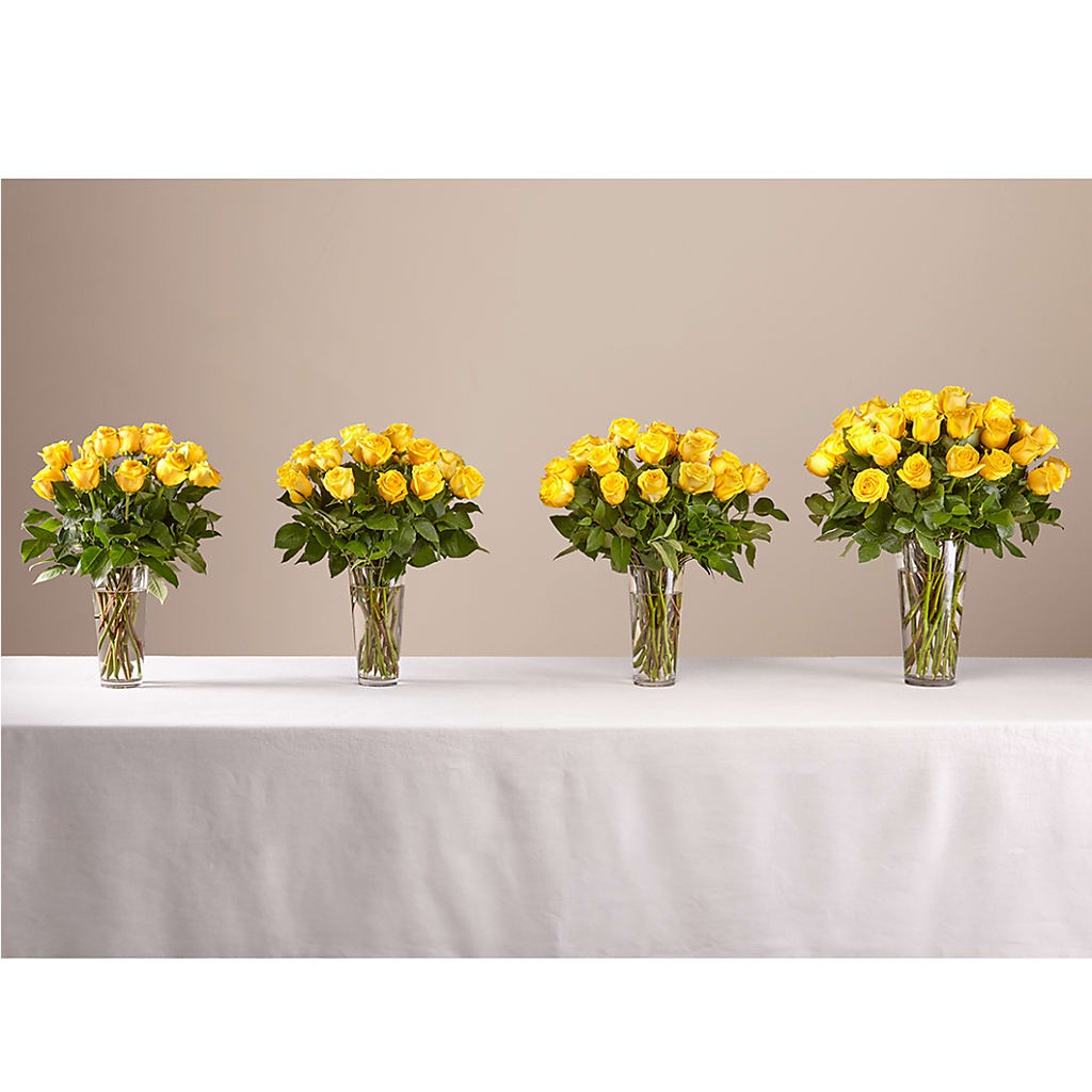 Long Stem Yellow Rose Bouquet – Roots Of Love, Spotswood NJ