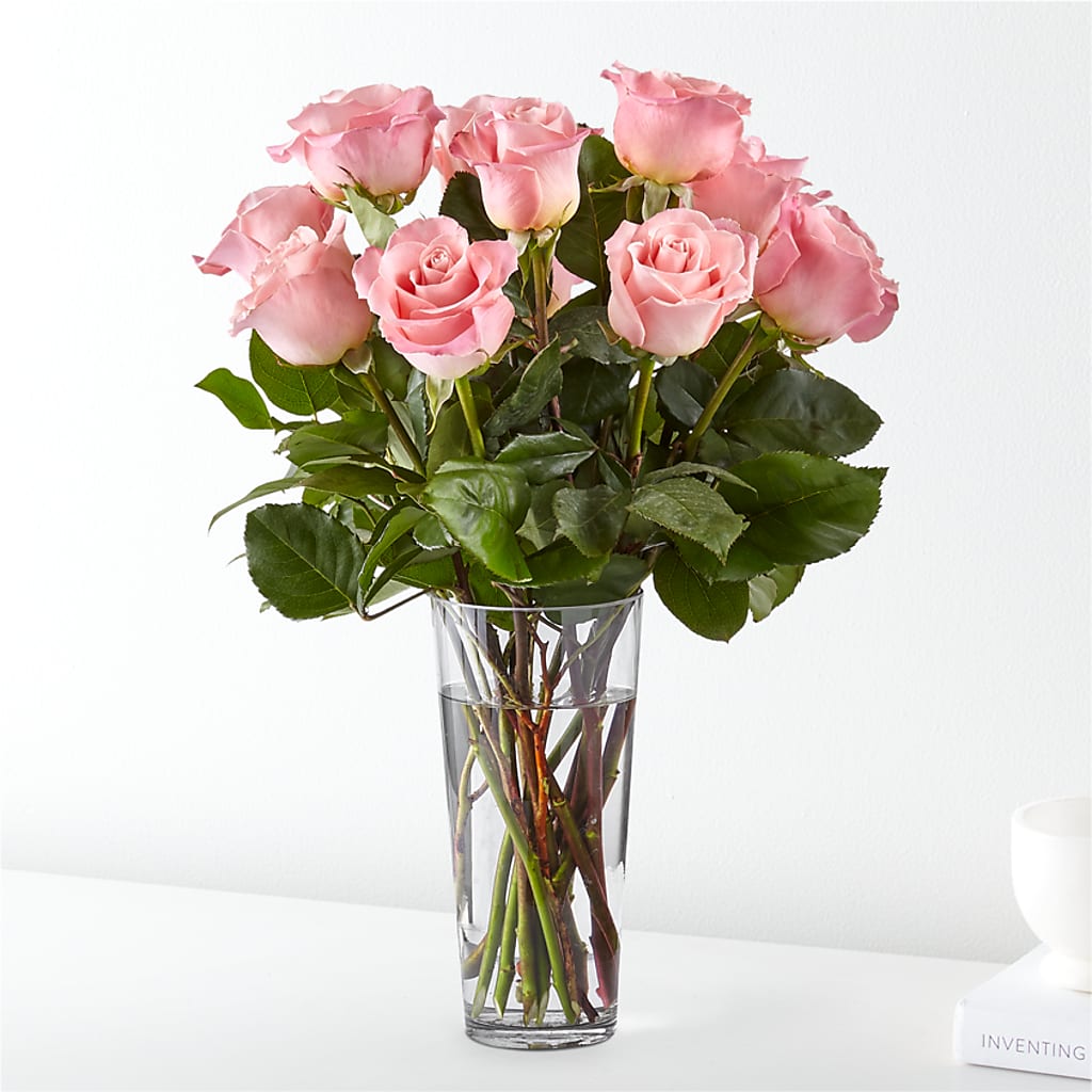 Long Stem Pink Rose Bouquet – Roots Of Love, Spotswood NJ