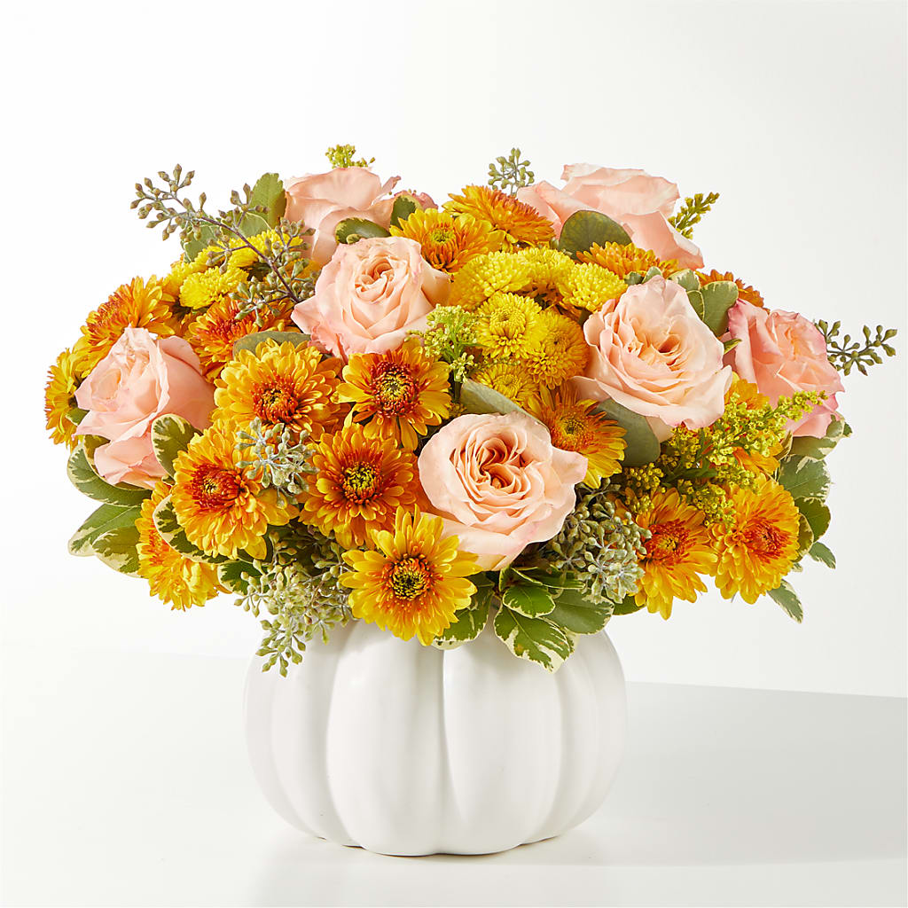 Peachy Pumpkin – Roots Of Love, Spotswood NJ