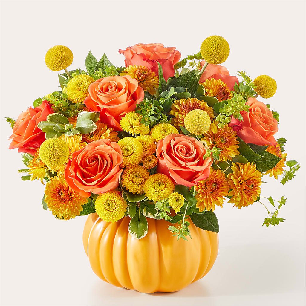 Gourdgeous Pumpkin – Roots Of Love, Spotswood NJ