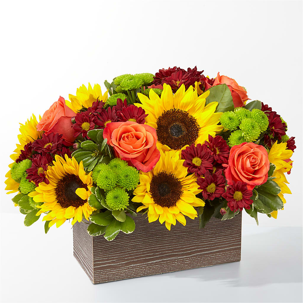 Happy Harvest Garden – Roots Of Love, Spotswood NJ