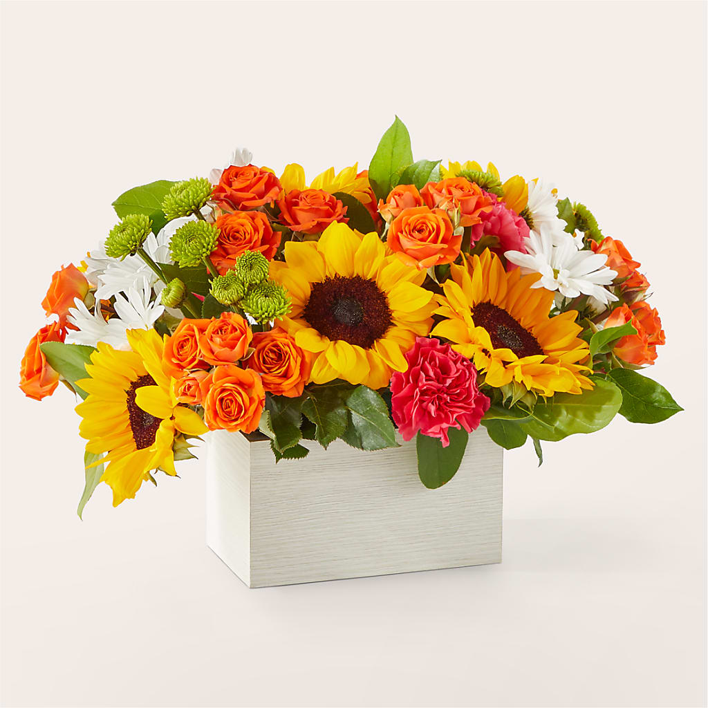 Sun-drenched Blooms Box Bouquet – Roots Of Love, Spotswood NJ