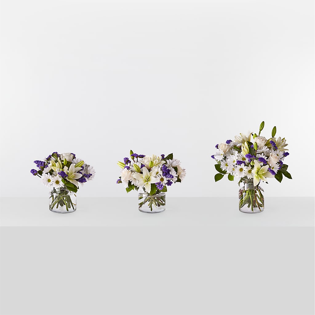 Beyond Blue Bouquet – Roots Of Love, Spotswood NJ