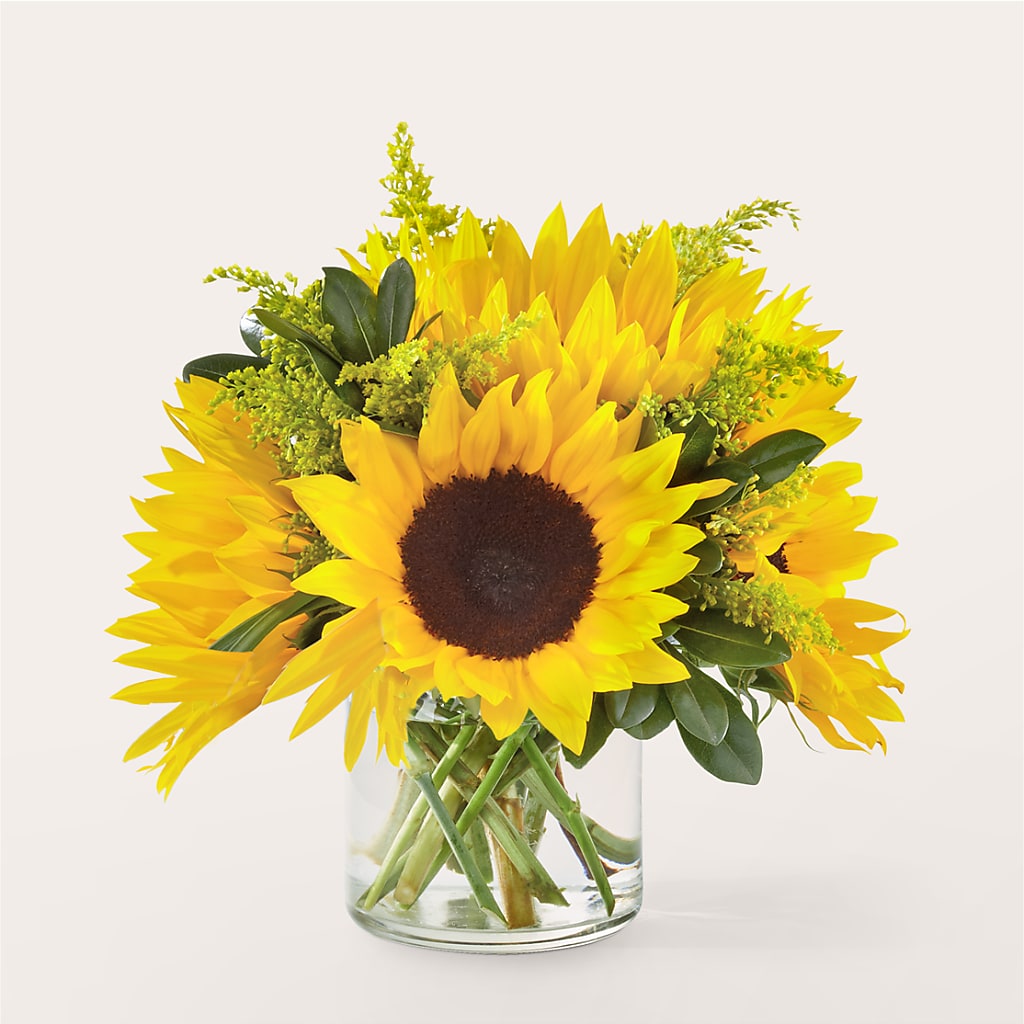 Beaming Sunflower Bouquet – Roots Of Love, Spotswood NJ