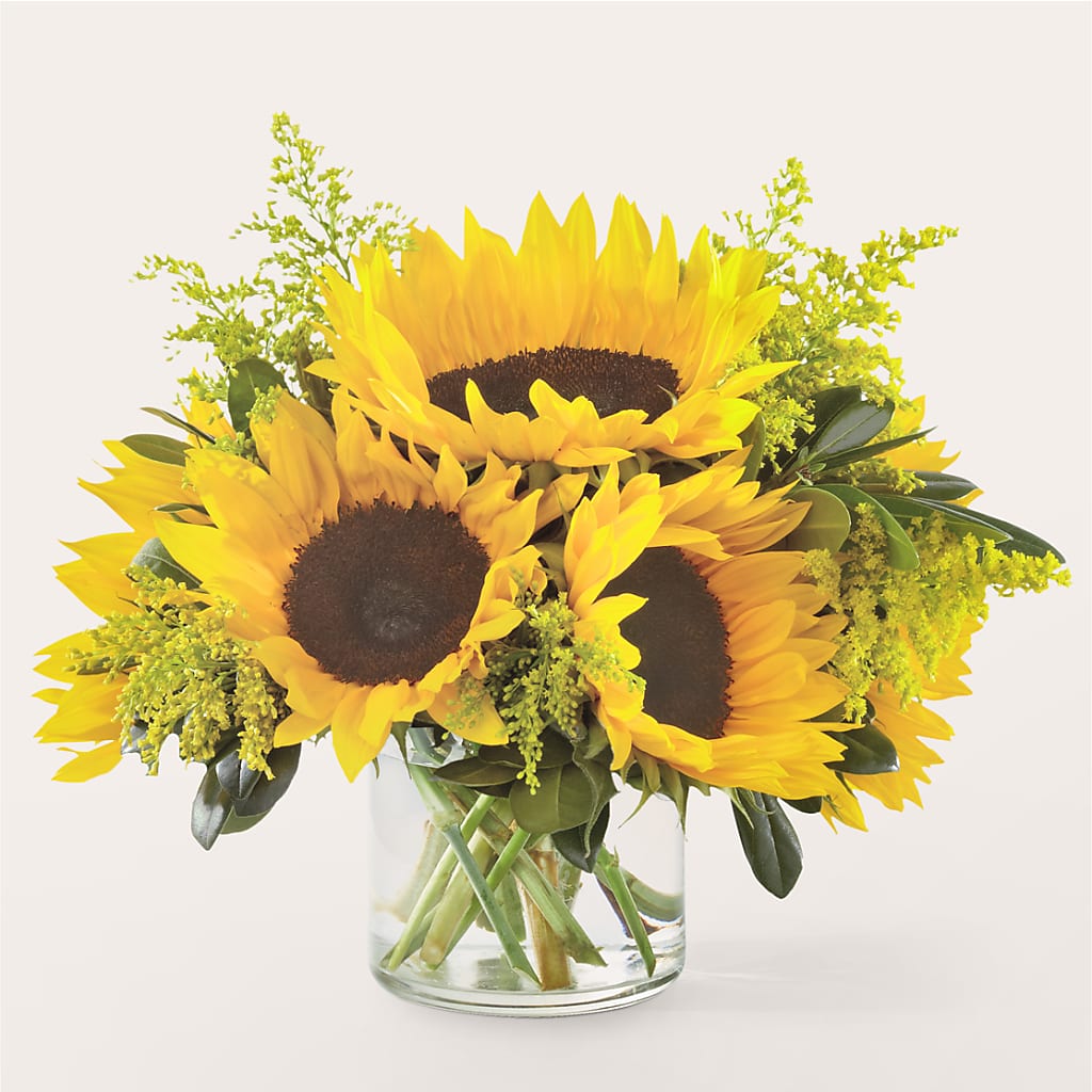 Beaming Sunflower Bouquet – Roots Of Love, Spotswood NJ