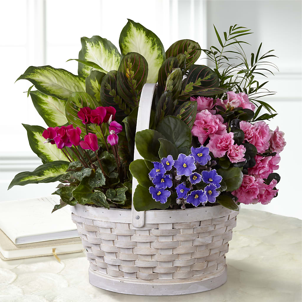 Peaceful Garden Planter – Roots Of Love, Spotswood NJ