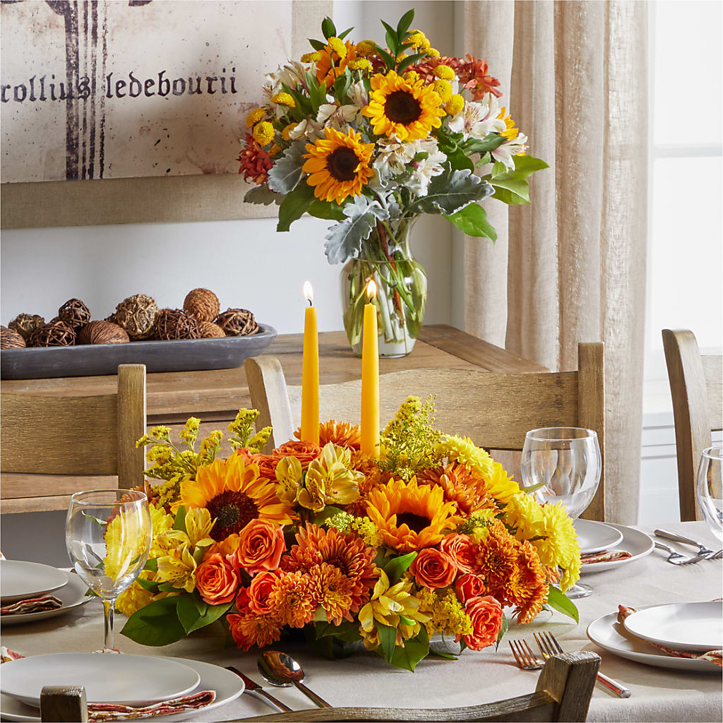 Golden Gathering Bundle – Roots Of Love, Spotswood NJ