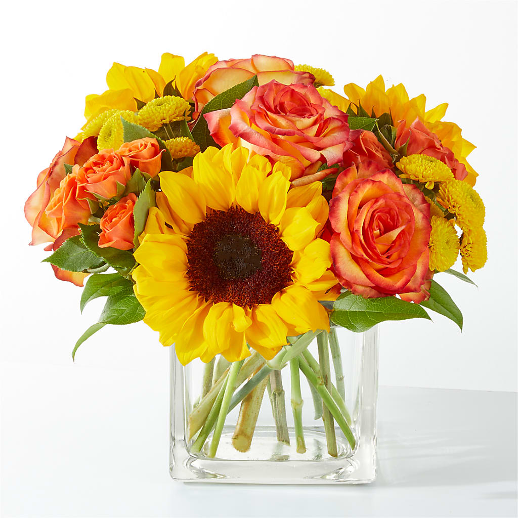 Picnic in the Park Bouquet – Roots Of Love, Spotswood NJ