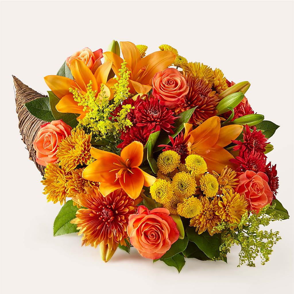 Feast of Color Cornucopia – Roots Of Love, Spotswood NJ