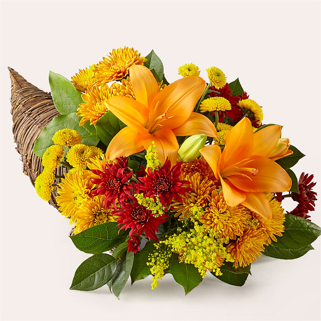 Feast of Color Cornucopia – Roots Of Love, Spotswood NJ