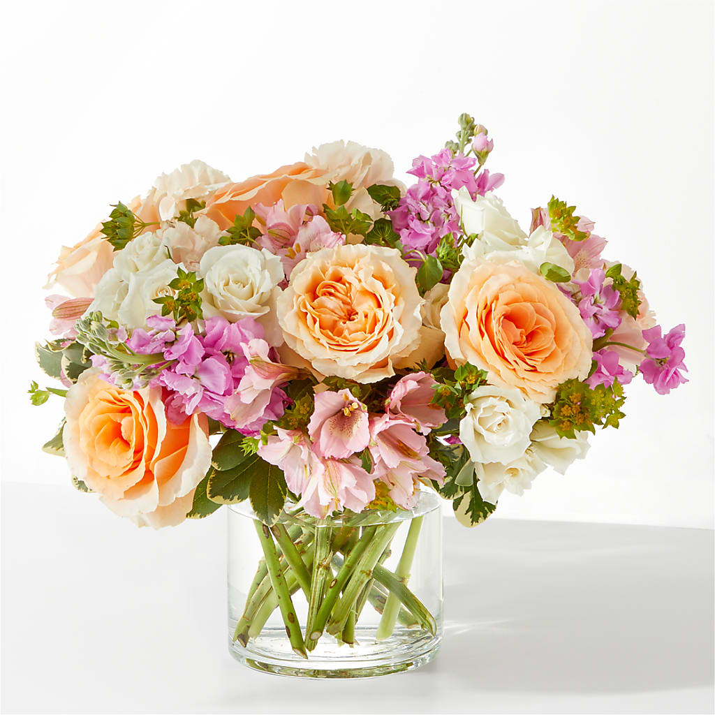 Paradise Bouquet – Roots Of Love, Spotswood NJ