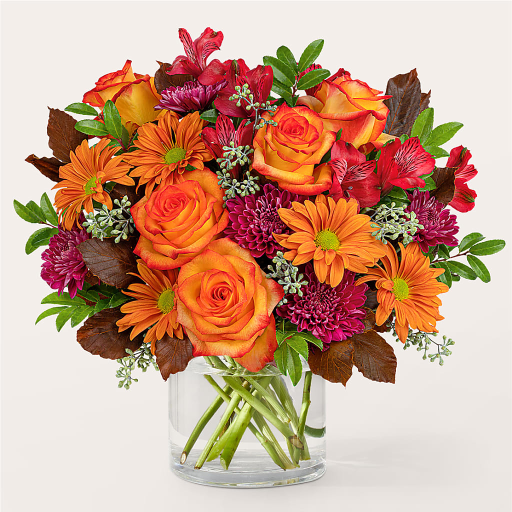 Brisk Morning Bouquet – Roots Of Love, Spotswood NJ