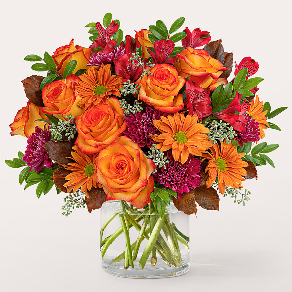 Brisk Morning Bouquet – Roots Of Love, Spotswood NJ