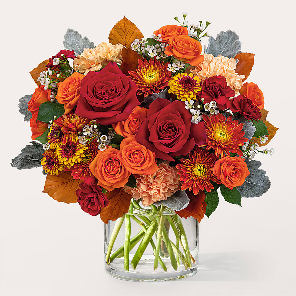 Merlot Bouquet – Roots Of Love, Spotswood NJ