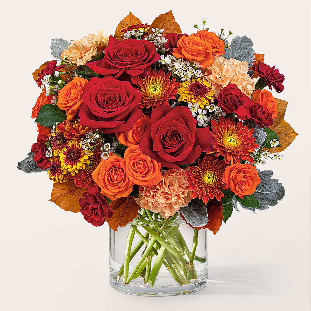 Merlot Bouquet – Roots Of Love, Spotswood NJ
