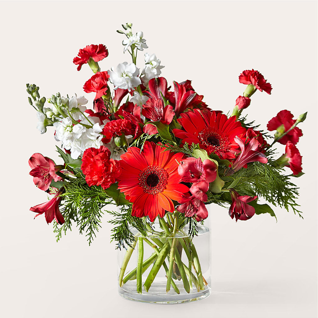 Holidaisy Bouquet – Roots Of Love, Spotswood NJ