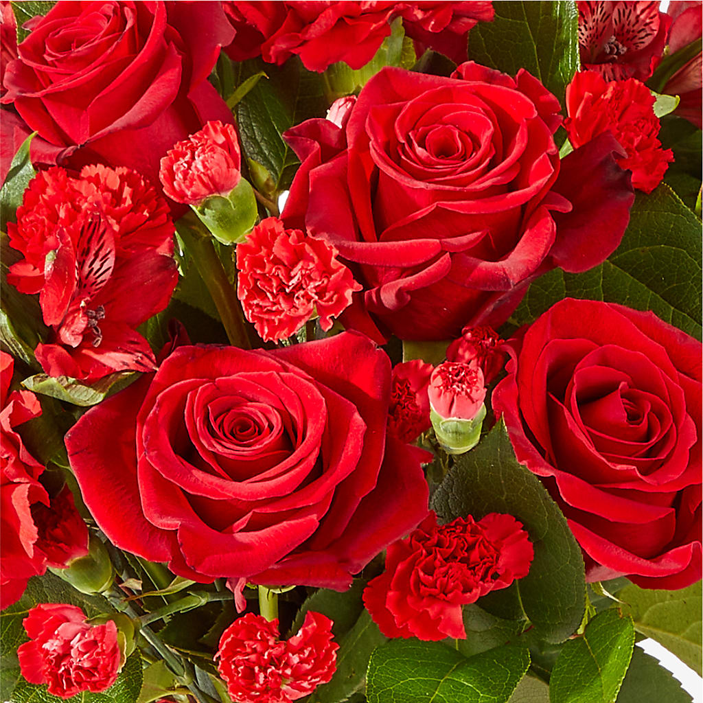 The Heartstrings Bouquet – Roots Of Love, Spotswood NJ