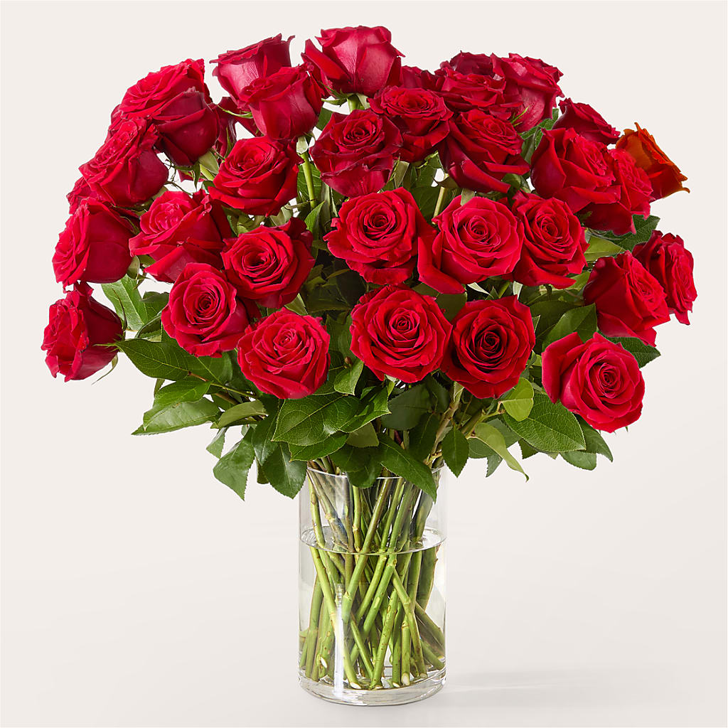 The One Red Rose Bouquet – Roots Of Love, Spotswood NJ