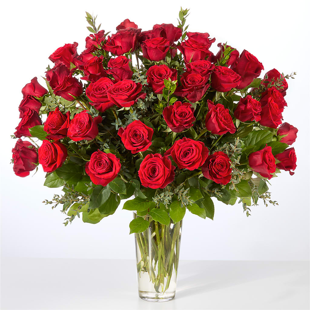 Forever Yours Fifty Stem Red Rose Bouquet – Roots Of Love, Spotswood NJ