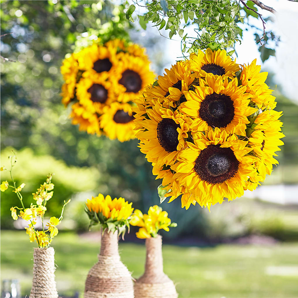 Sublime Garden Hanging Arrangement – Roots Of Love, Spotswood NJ