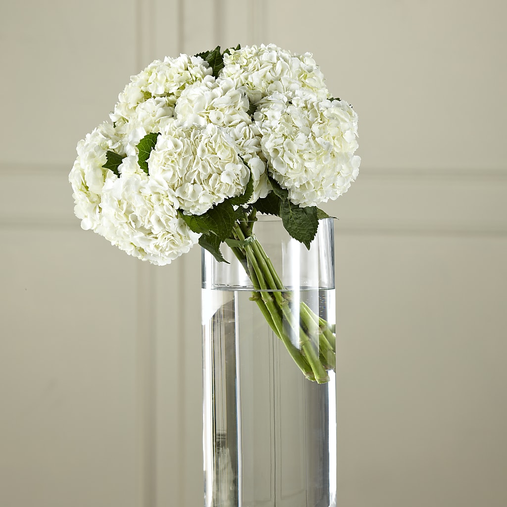 White Hydrangea Hand-Tied Bouquet – Roots Of Love, Spotswood NJ