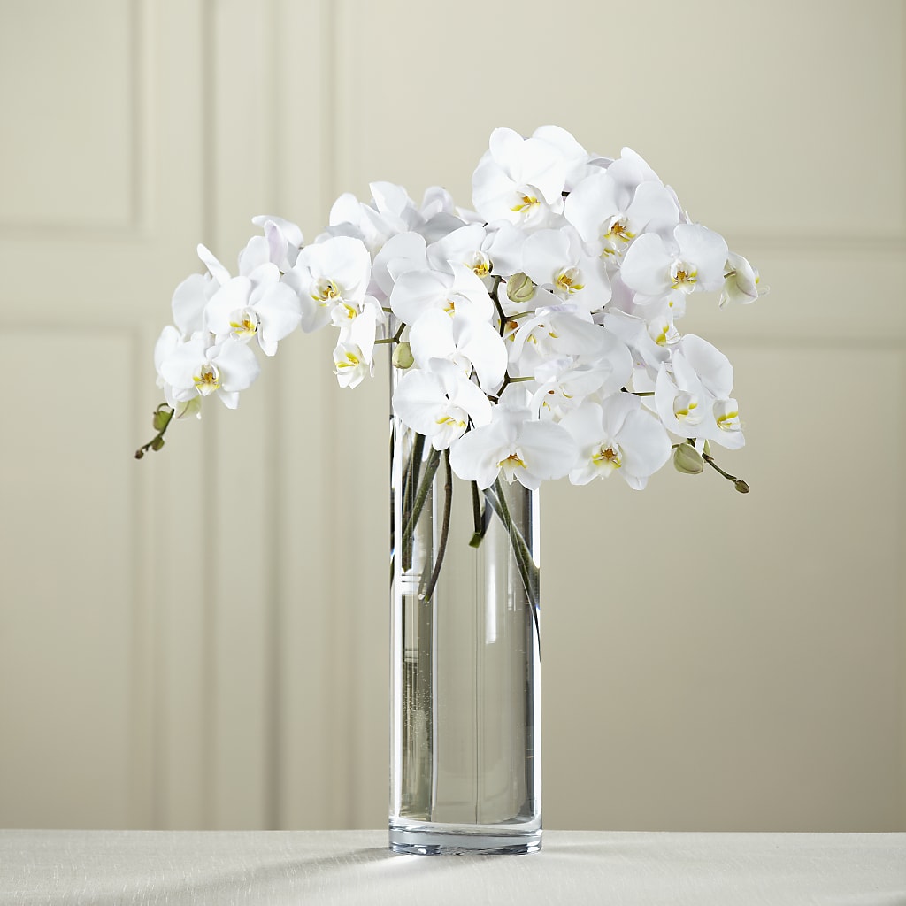 White Phalaenopsis Bouquet – Roots Of Love, Spotswood NJ