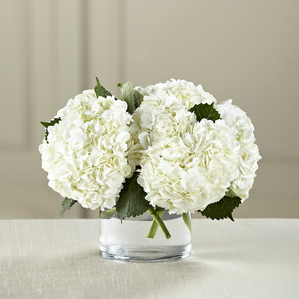 White Hydrangea Bouquet – Roots Of Love, Spotswood NJ