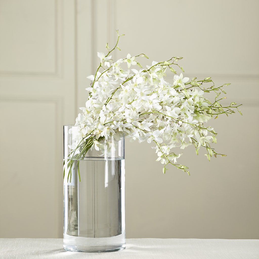 White Dendrobium Bouquet – Roots Of Love, Spotswood NJ