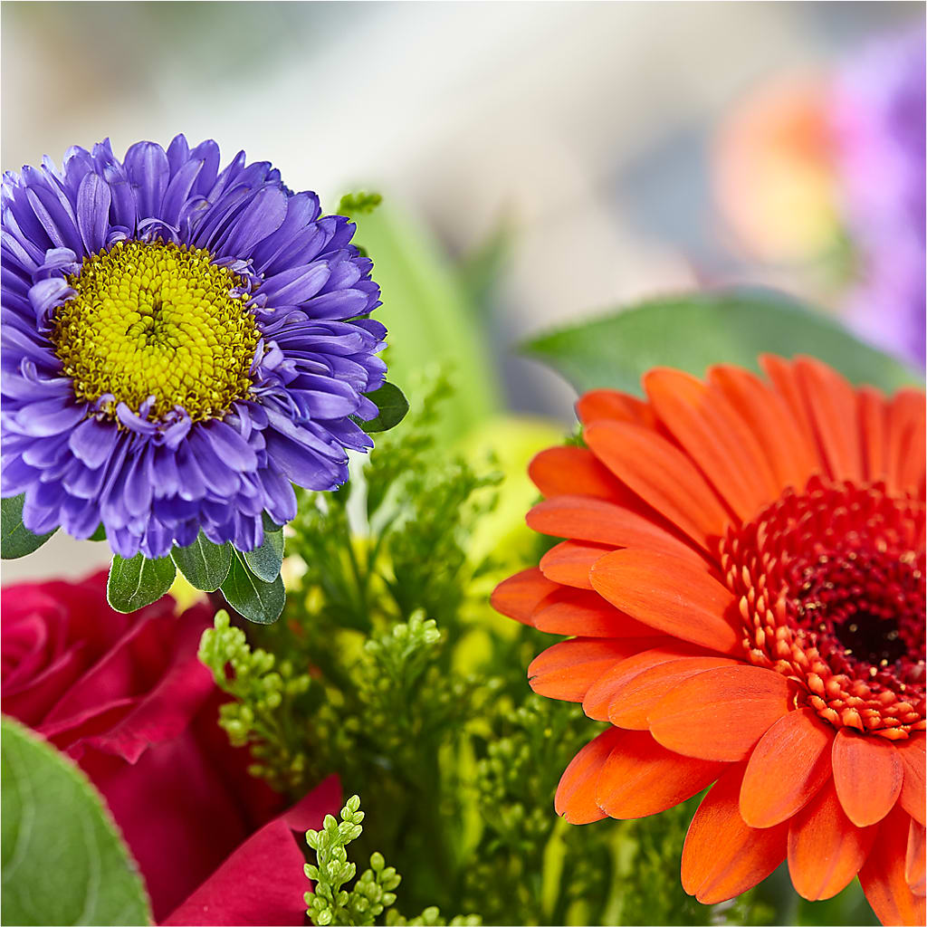 Bold & Bright – A Florist Original –  Roots Of Love, Spotswood NJ