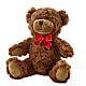 Adorable Plush Bear –  Roots Of Love, Spotswood NJ