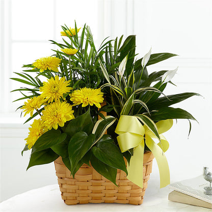 Loving Light Dishgarden –  Roots Of Love, Spotswood NJ