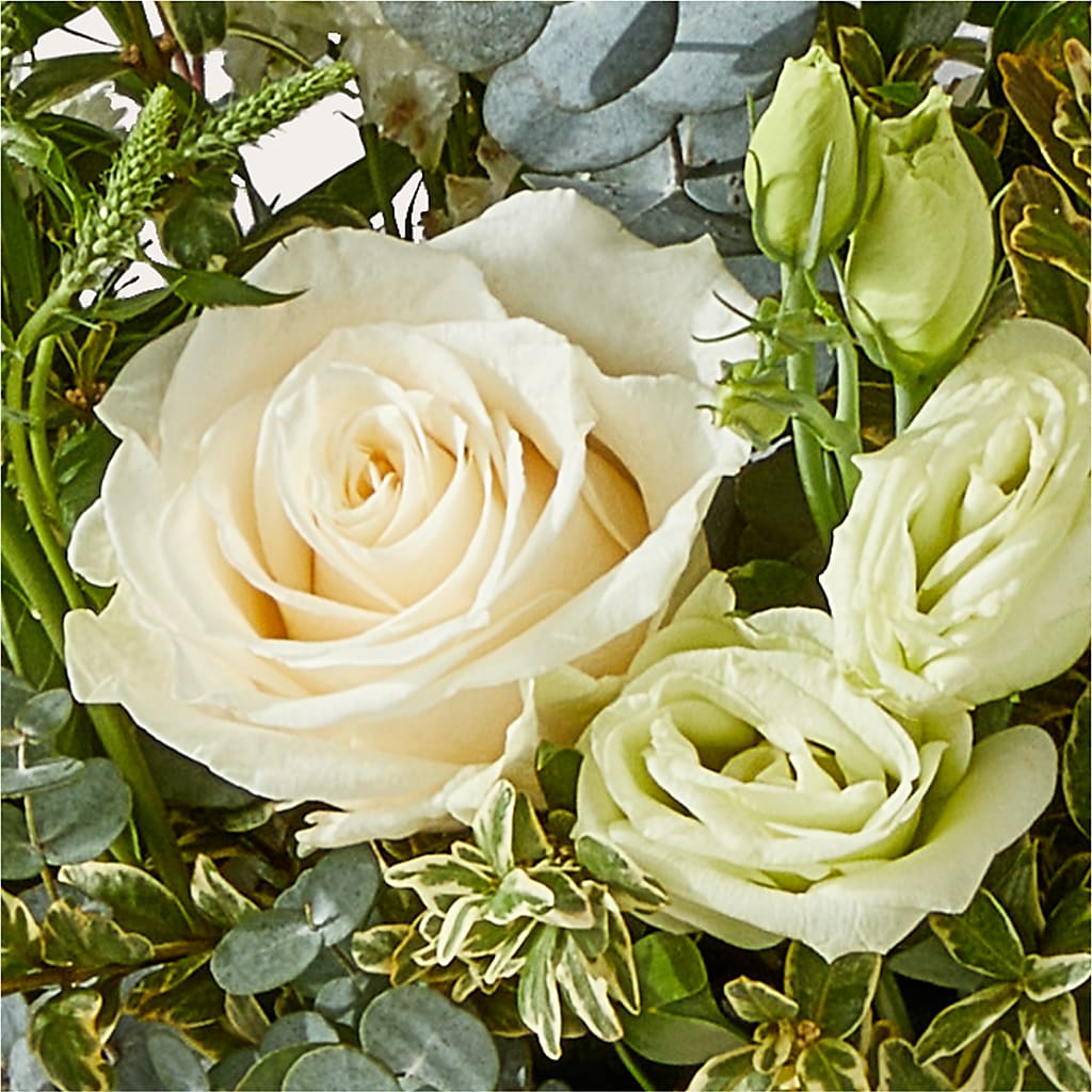 Cashmere Bouquet –  Roots Of Love, Spotswood NJ