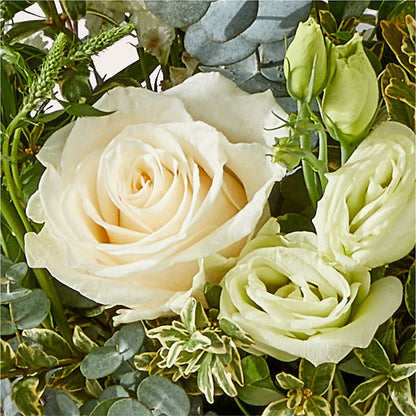 Cashmere Bouquet –  Roots Of Love, Spotswood NJ