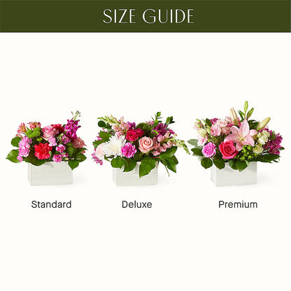 Sweetberry Box – A Florist Original –  Roots Of Love, Spotswood NJ