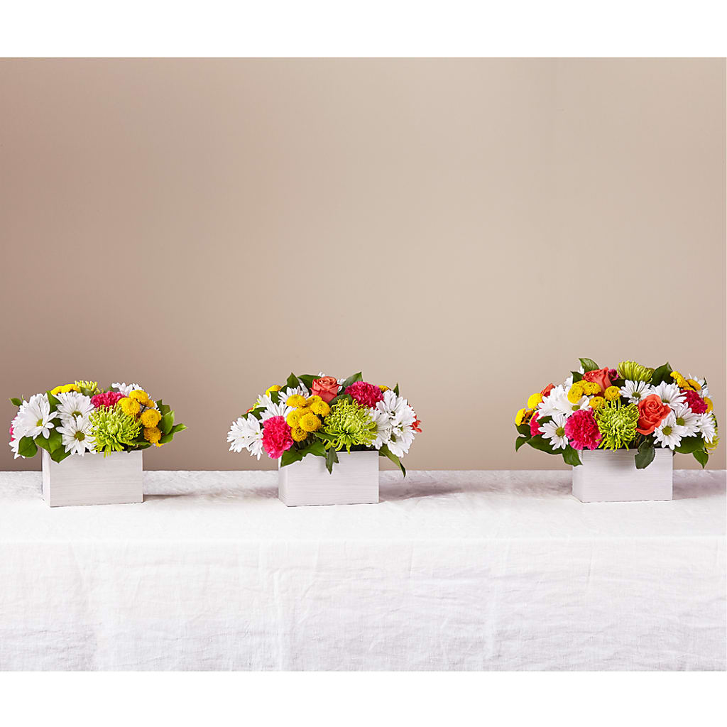 Sorbet Bouquet –  Roots Of Love, Spotswood NJ