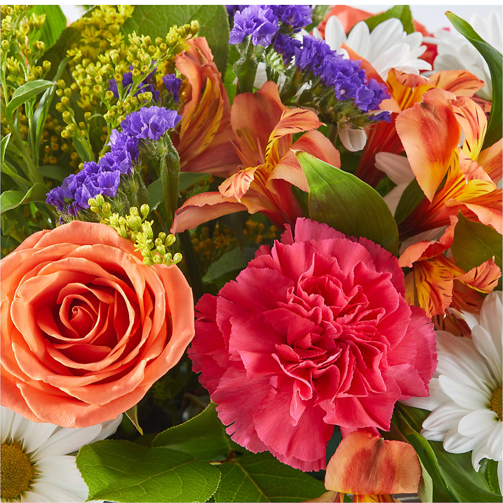 Oopsie Daisy Box Bouquet –  Roots Of Love, Spotswood NJ