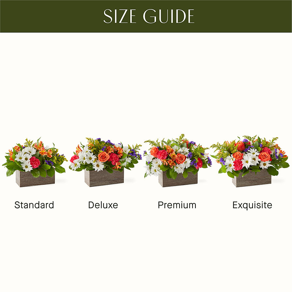 Oopsie Daisy Box Bouquet –  Roots Of Love, Spotswood NJ