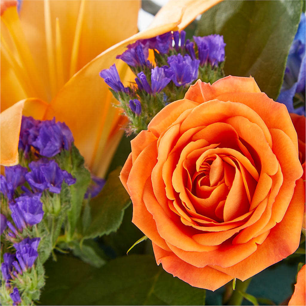 Radiant Citrus Box Bouquet –  Roots Of Love, Spotswood NJ