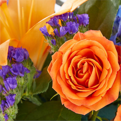 Radiant Citrus Box Bouquet –  Roots Of Love, Spotswood NJ