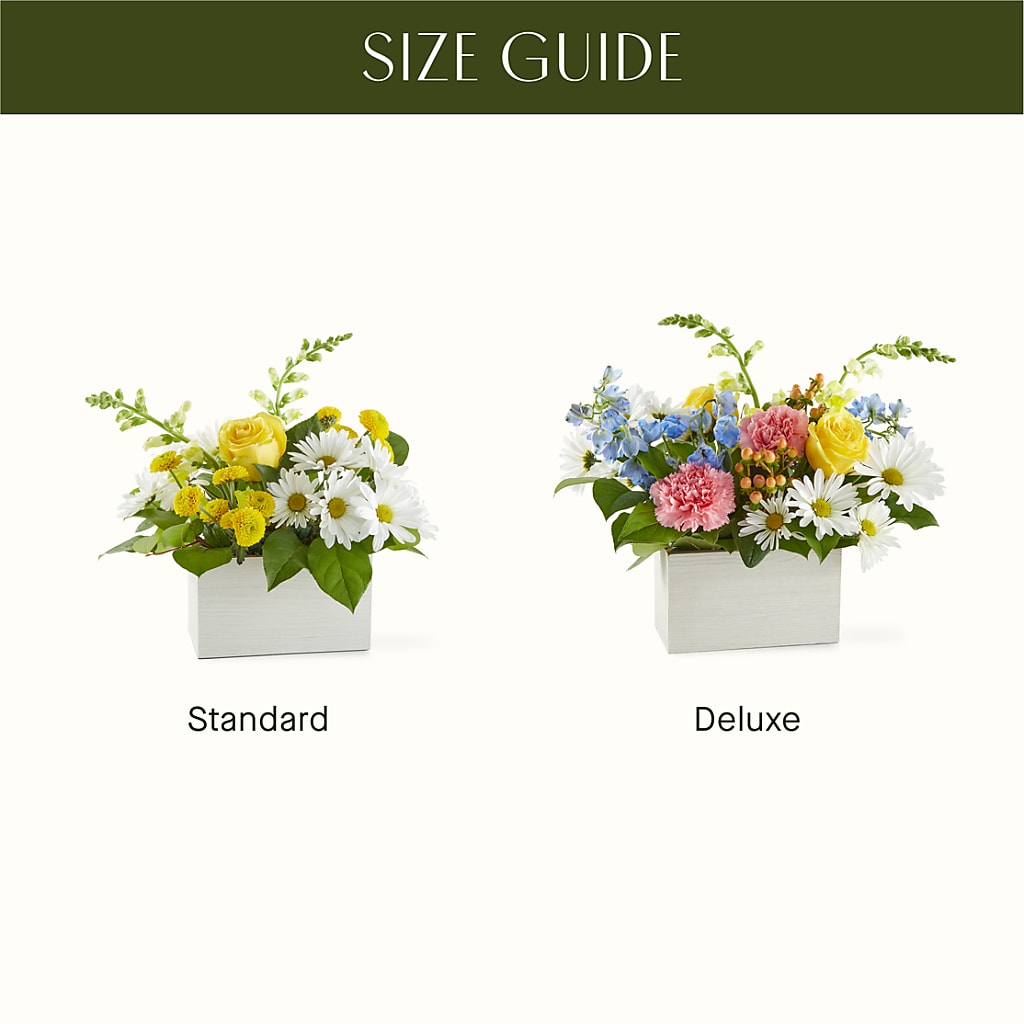 Sun Salutation Box Bouquet –  Roots Of Love, Spotswood NJ