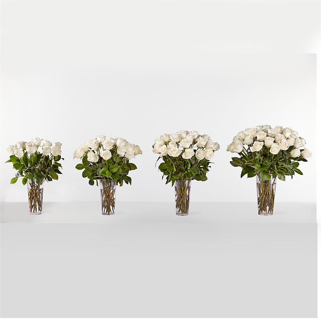 Long Stem White Rose Bouquet –  Roots Of Love, Spotswood NJ