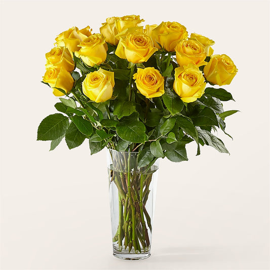 Long Stem Yellow Rose Bouquet –  Roots Of Love, Spotswood NJ